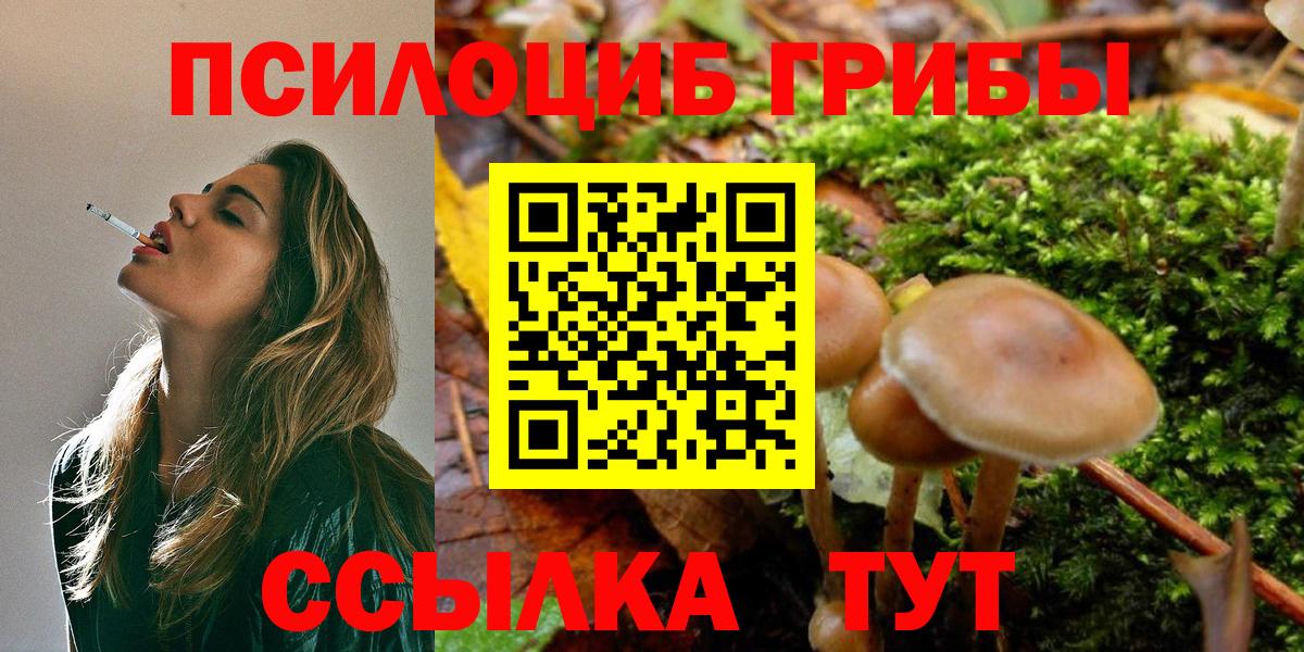 Псилоцибиновые грибы GOLDEN TEACHER  Вход с VPN  Советский  Галлюциногенные грибы Psilocybe 